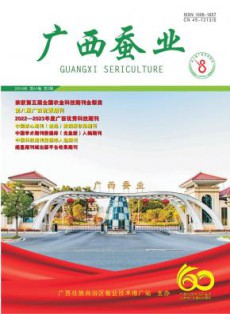 广西蚕业